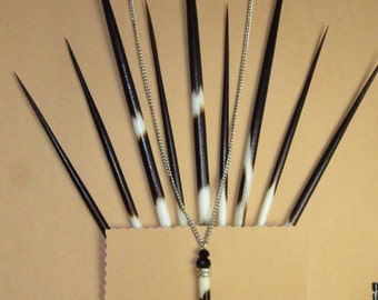 Porcupine Quill Necklace