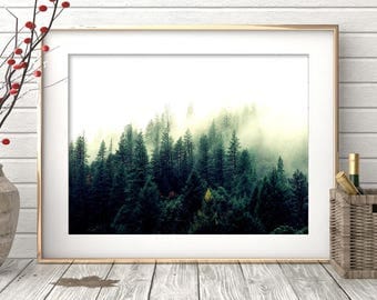 Forest Print, Forest Photography, Forest Wall Art, Nature Prints, Forest Art, Wilderness Poster, Woodland Prints, Modern, Printable Art
