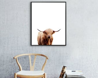 Highland Cow Wall Print, Modern Wall Art, Instant Download, Scottish Cow Print, Cow Wall Art, Brown Cow Print