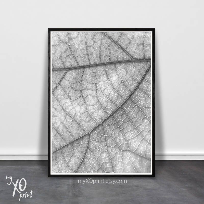 black and white leaf wall art