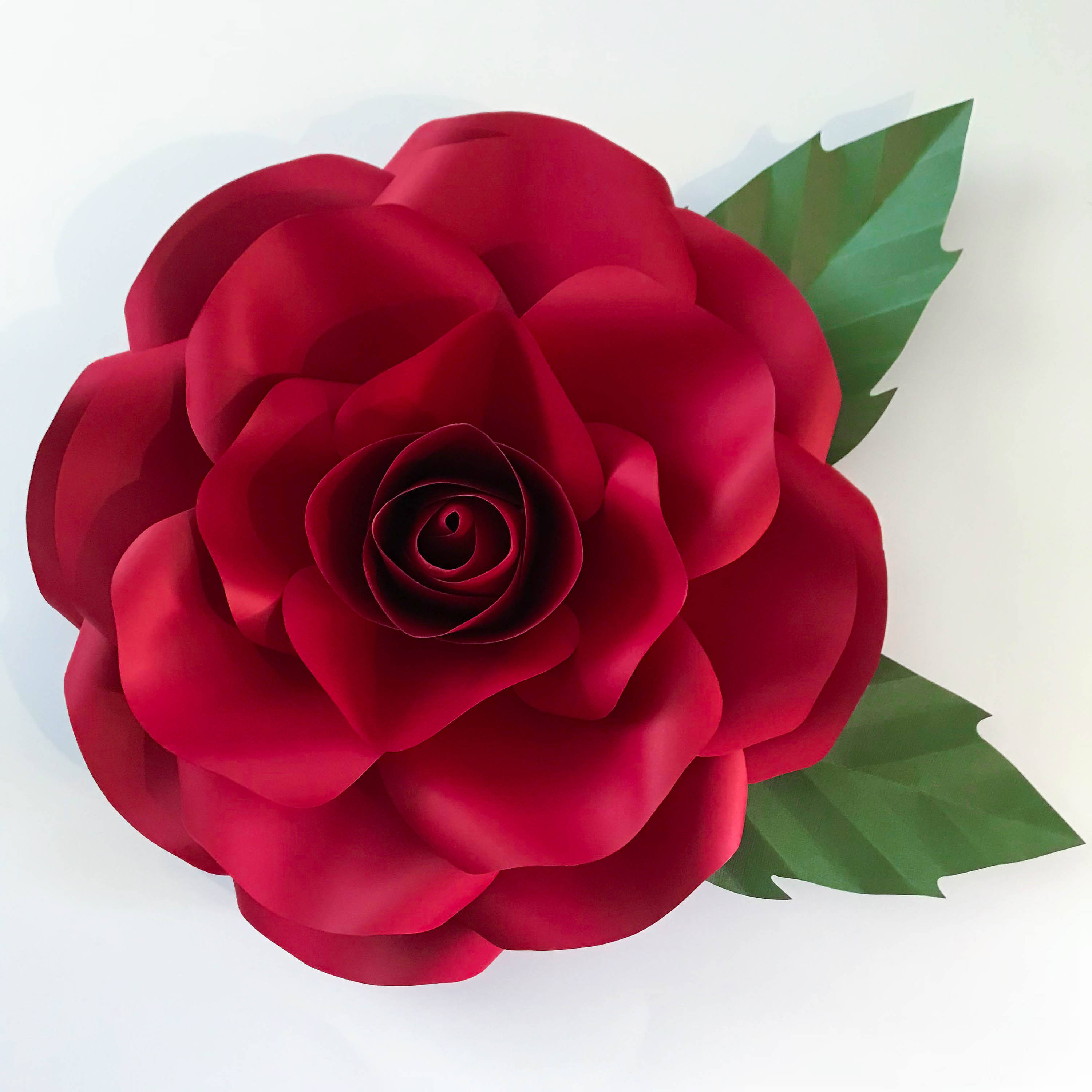 SVG New Medium Rose Paper Flower Template DIY Cricut and