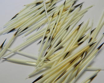 10 North American Thin Porcupine Quills - Craft Sized Real Porcupine Quills; Jewelry Making, Scrap Booking, Craft Projects - Detash Emporium