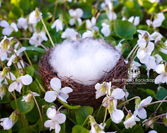 Floral Newborn Digital background/backdrop nest. Newborn overlay with white flowers. Digital flowers backdrop for baby girls. JPEG file