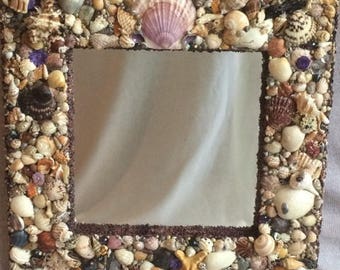Sheashell Mirror with purple accents