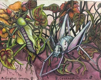 Tangled Bugs - colorful bug illustration in mixed media