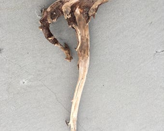 Free Shipping Canada & USA - Large Driftwood Specimen 3ft X 19"