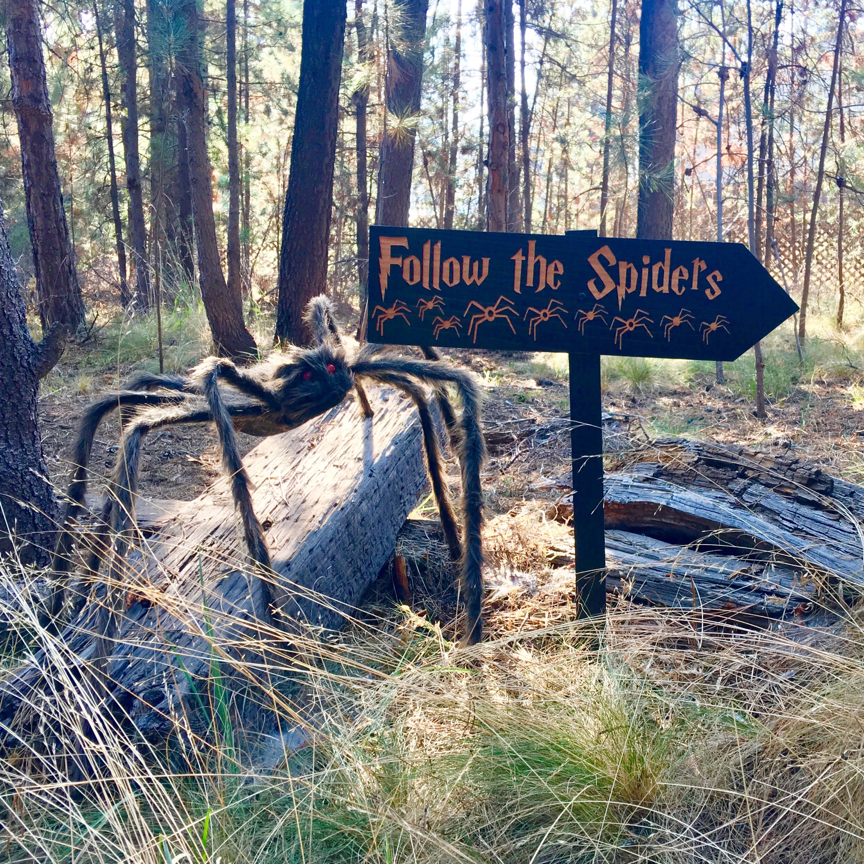Harry Potter Inspired Follow the Spiders Lawn Ornament Sign