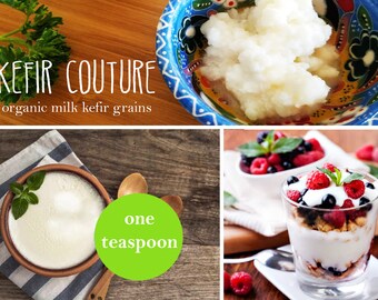 Organic Live Milk Kefir Grains Probiotic -KEFIR COUTURE- One Teaspoon
