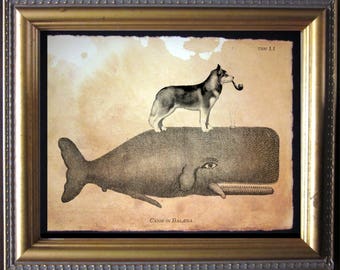 Siberian Husky Riding Whale - Vintage Collage Art Print on Tea Stained Paper - Vintage Art Print - Vintage Paper
