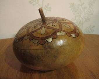 box squash gourd type flat Corsica 9 original