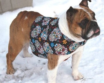 ON SALE Sugar Skull Dog Fashion, Day of the Dead Dog Clothes, Dia De Los Muertos, Gothic Pet Clothing, Italian Greyhound Clothing, Bulldog C