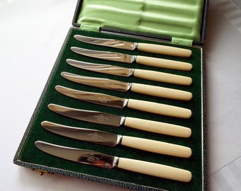 Vintage Butter Knives. 1950s Boxed Set of Eight Vintage Tea Knives. English Stainless Steel, Cream Plastic Handles. Perfect for a Tea Party