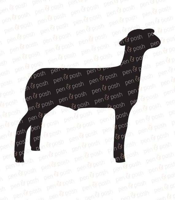 Download Show Lamb SVG Show Sheep SVG Lamb Clipart 4H Market Lamb