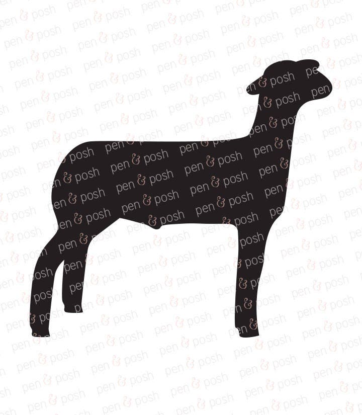 Download Show Lamb SVG - Show Sheep SVG - Lamb Clipart - 4H Market Lamb - Market Lamb SVG - Ffa Lamb ...