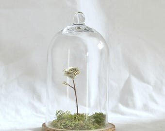 Pink paper under glass