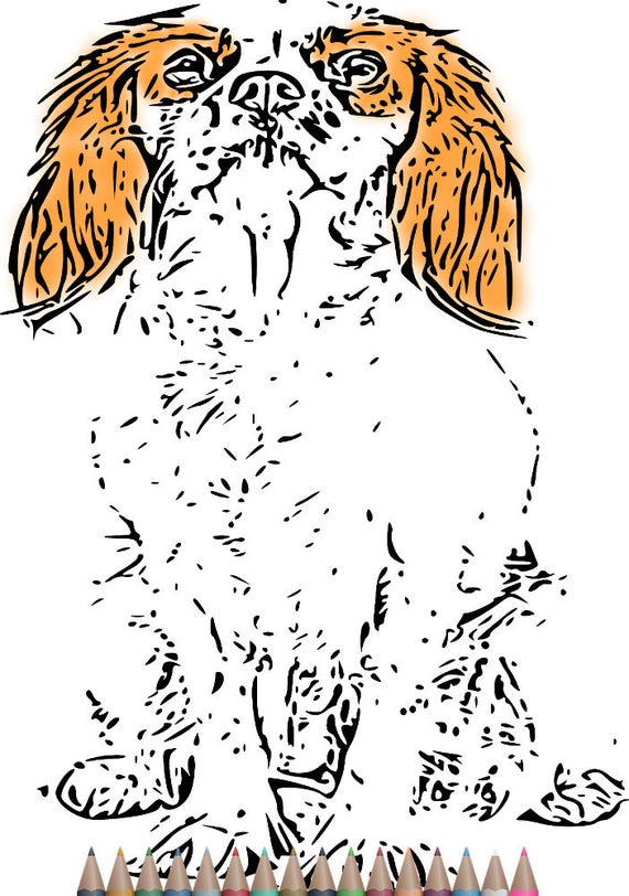 Download Adult Coloring Pages Cavalier king charles spaniel art