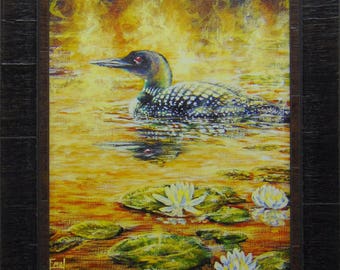 July's Jewels - Loon/waterlilies. Loons, Northwoods, Up North, lakes, summer, wildlife