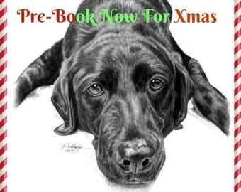 Custom Pet Portrait Sketch Special Size & Pricing Option on Hand Drawn Sketch of Your Pet