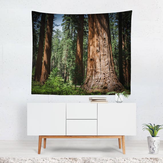 Redwood Forest Tapestry Tree Wall Tapestry Forest Wall Art