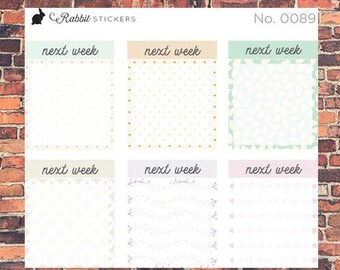 Next Week boxes -- 0089 Bullet Journal stickers, planner stickers, bujo, weekly boxes, planner boxes