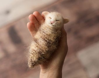 New born baby photo prop, photo prop, The Woolly Cradle, needle felted kitten, sleeping kitten, podling, ooak, Woolly Felters, Judy Balchin