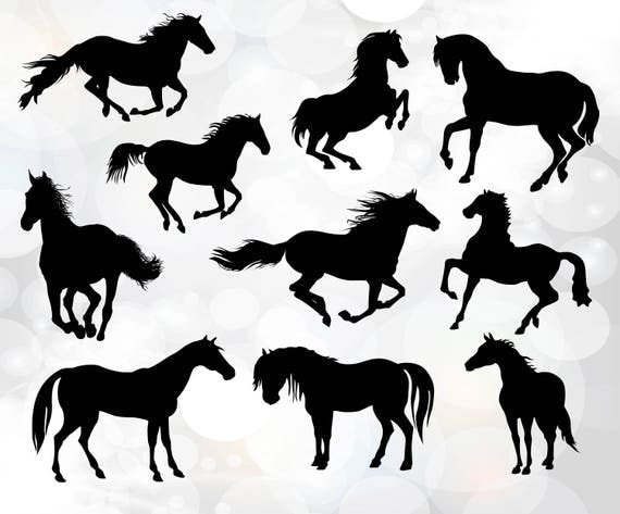 Download Horse svg silhouettes Running horses svg collection horses
