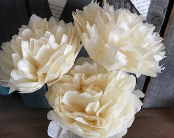 Tissue Paper Flowers, Cream, Three Count