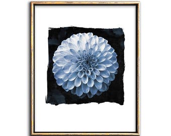 Botanical Art, Modern, Cyanotype, Digital, Collage, Printable Art, Gallery Wall Decor, Blue, White, Flower Art Print, Photo, Photgraph
