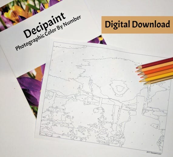 Items similar to Digital download coloring page, printable color by ...