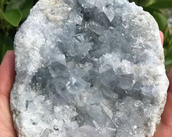 Blue Celestine/Celestite Mineral Specimen 2-4