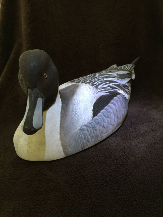 Pintail decoy