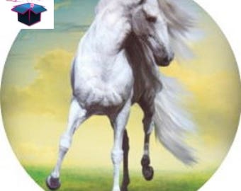 1 glass cabochon 16 mm for loop or ring horse
