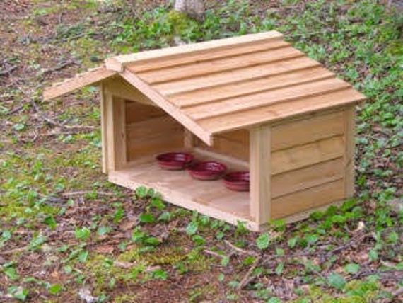 outdoor-feeding-station-with-extended-rooflarge