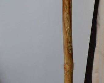 driftwood walking stick