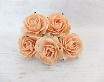 5 35mm light peach mulberry roses - peach paper flowers (Style 1)