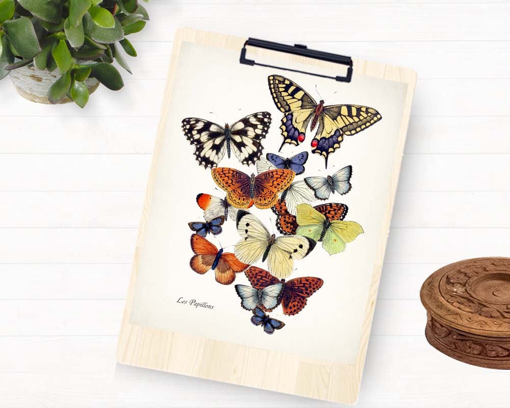 Butterfly Garden Giclee Art Print 8x10