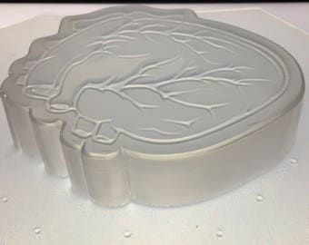 Anatomical Heart Flexible Plastic Soap or Bath Bomb Mold