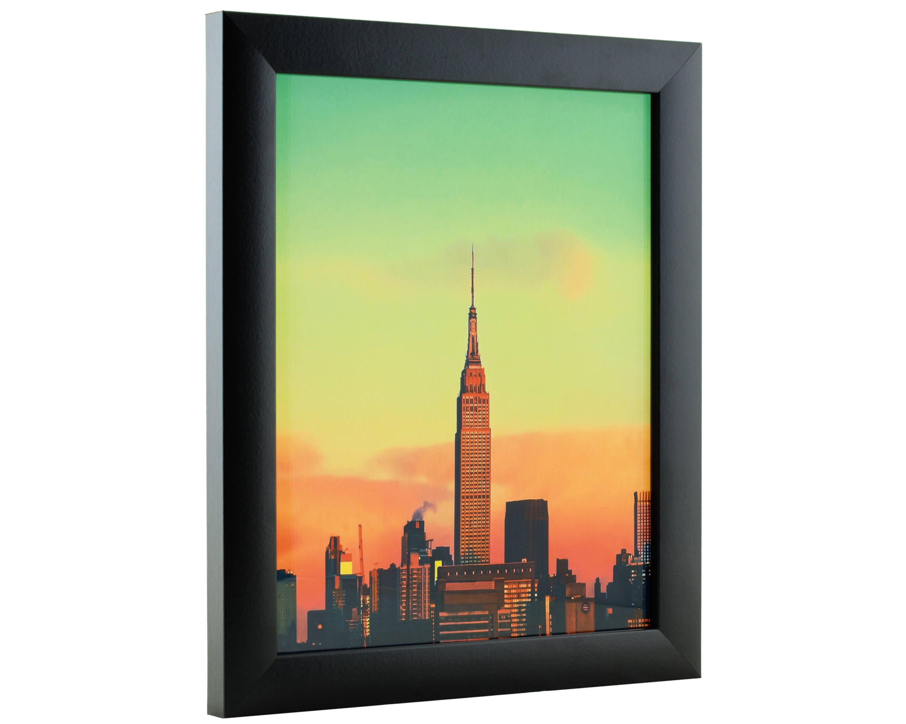 Craig Frames 20x30 Inch Modern Black Picture Frame