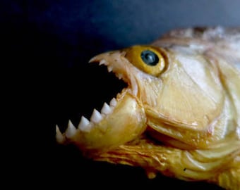 piranha stuffed animal