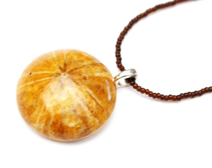 fossil sand dollar necklace - echinoderm pendant - Brownd domed round Shell- handmade bead necklace
