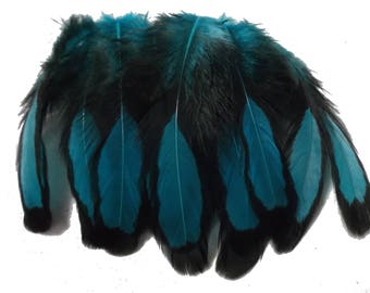 Craft Feathers - Turquoise Craft Feathers - Black Laced Craft feathers qty 12