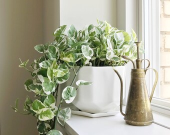 TOP SELLER - Riveted Planter