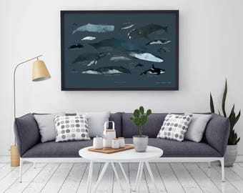 Whales Chart of the Saint-Lawrence river – Big Art Print – Multiple sizes available 8" x 10" / 12" x 18" / 24" x 36"