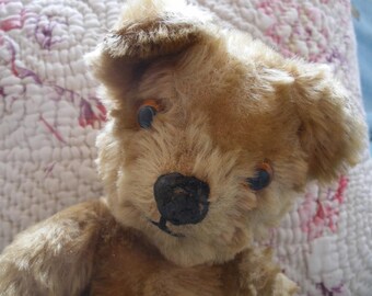 Vintage English teddy bear, golden fur