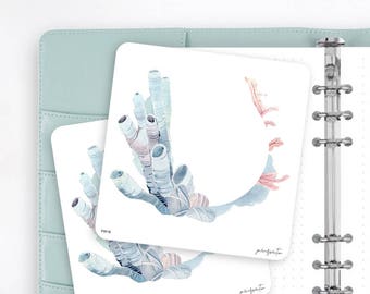 FW16 | Wreath Sticker | Decorative Sticker | Watercolor Sticker | Ocean Sea Sticker | Planner Stickers | Bullet Journal Stickers