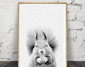 Écureuil impression, Woodlands Animal Wall Art, décor de chambre d'enfant, téléchargement numérique, Art de la chambre pour enfants