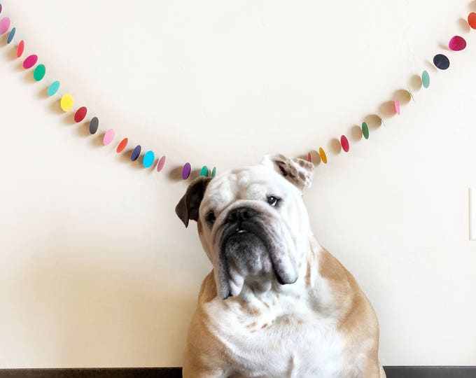 well-rounded paper garland