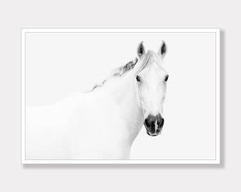 Equine photo | Etsy