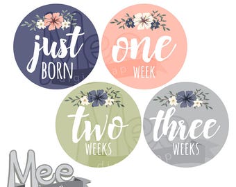 Floral baby mont stickers DIY monthly stickers baby girl milestone sticker onesie printable sticker summer flowers month planner sticker pdf