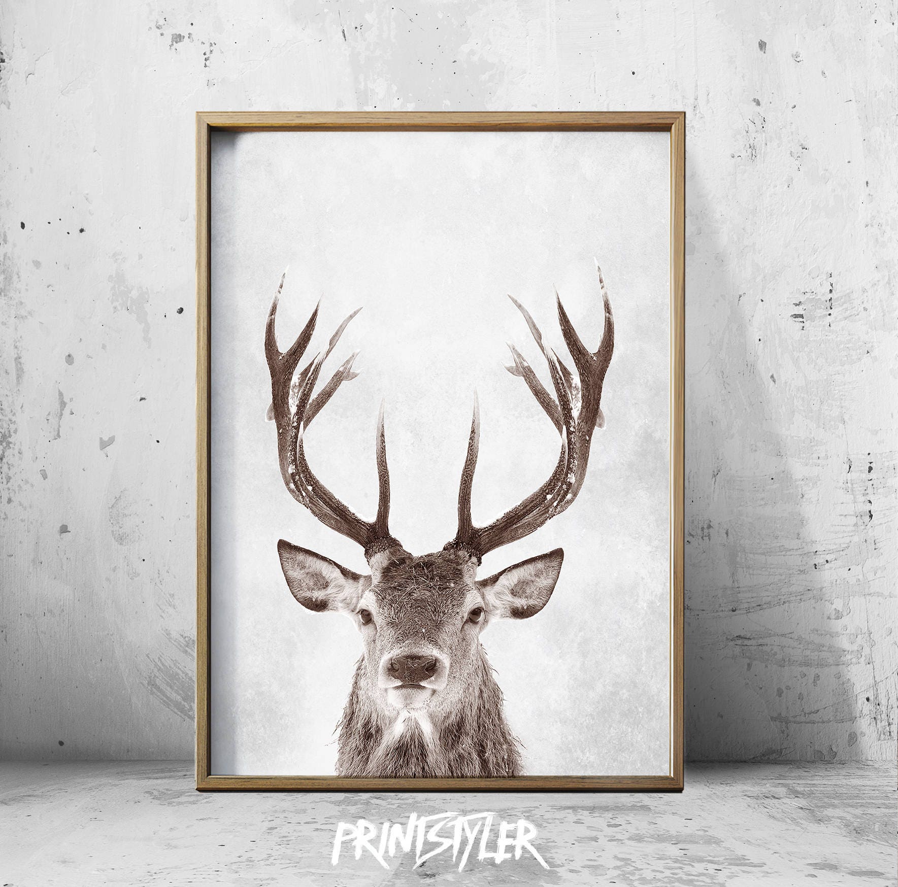 Brown Stag Art Wall Art Prints Stag Print Deer Posters